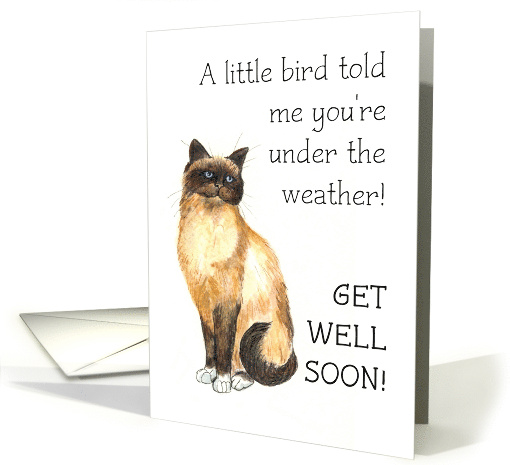 Get Well Soon Wishes with Birman Cat card (729418)