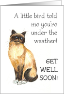 Get Well Soon Wishes with Birman Cat card