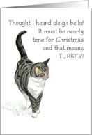 Christmas Greetings with fun Grey Tabby Cat Blank Inside card