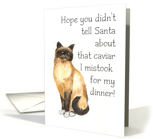 Birman Cat Christmas card (729433)