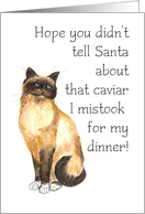 Birman Cat Christmas Card