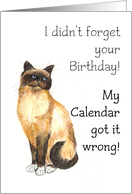 Ccute Birman Cat Blank Inside card