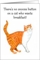 Humorous Red Tabby and White Cat Blank Inside card