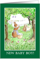 New Baby Boy Congratulations with Cute Bunny Rabbits card