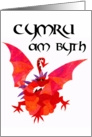 ’Wales Forever’ St David’s Day Card
