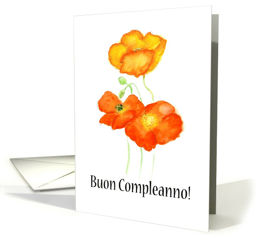 Birthday Greetings in Italian with Iceland Poppies Blank Inside card