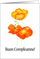 Birthday Greetings in Italian with Iceland Poppies Blank Inside card
