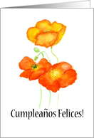 Birthday Greetings in Spanish with Iceland Poppies Blank Inside card