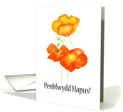 Birthday Greetings in Welsh with Iceland Poppies Blank Inside card
