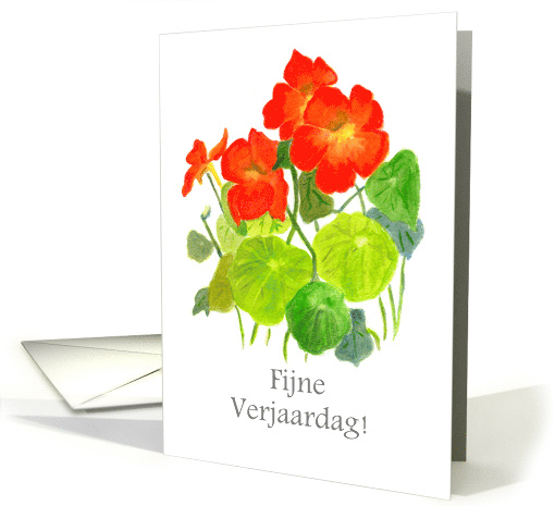 Birthday Greetings in Dutch with Red Nasturtiums Blank Inside card