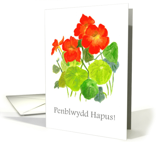 Birthday Greetings in Welsh with Red Nasturtiums Blank Inside card