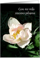 Spanish Sympathy Cards From Greeting Card Universe