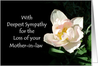 Sympathy Cards For Loss Of Mother In Law From Greeting Card Universe