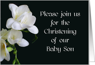 Baby Son Christening Invitation - White Freesias card