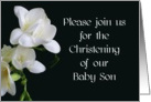 Baby Son Christening Invitation - White Freesias card