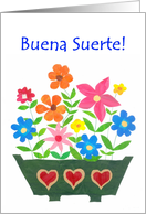 Good Luck Cards In Spanish From Greeting Card Universe