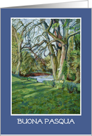 Italian Easter Card - Riverbank in Early Spring card