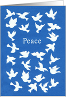 White Doves Passover Card - Peace card