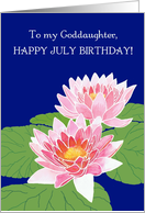 For Goddaughter’s July Birthday with Two Pink Water Lilies card