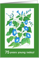 75th Birthday Greetings with Bright Blue Morning Glory Flowers card