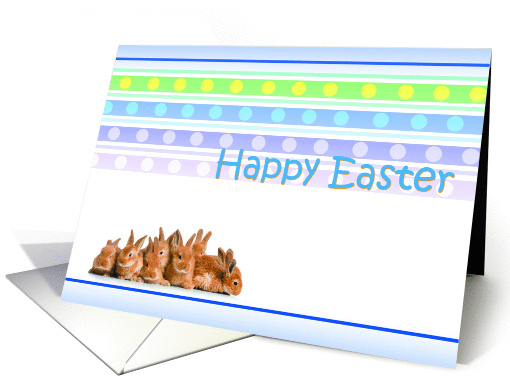 Easter Rabit card (534545)