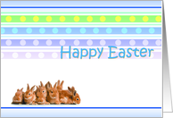 Easter Rabit