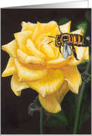 Yellow Rose - Flowers - Garden card