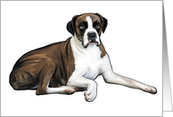 Boxer - Animals - Pets card