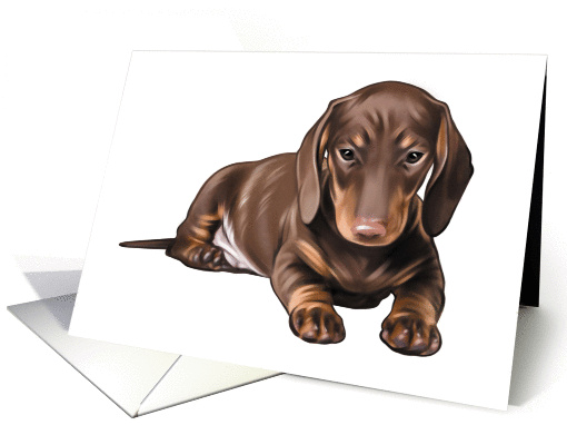Dachshund - Animals - Pets card (535370)