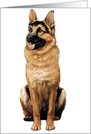 German Shepherd - Animals - Pets card
