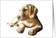 Labrador Retriever - Animals - Pets card