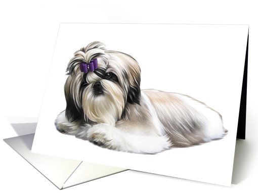 Shih Tzu - Animals - Pets card (535379)