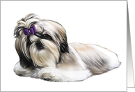 Shih Tzu - Animals - Pets card