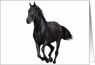 Horse - Animals - Pets card