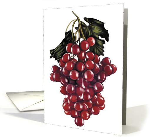 Grapes - Food and Wine card (535913)