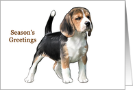 Beagle - Animals - Pets - Dogs - Christmas card