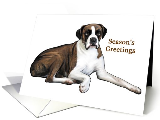 Boxer - Animals - Pets - Dogs - Christmas card (535973)