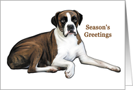 Boxer - Animals - Pets - Dogs - Christmas card