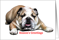 Bulldog - Animals - Pets - Dogs - Christmas card