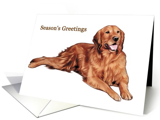 Golden Retriever - - Animals - Pets - Dogs - Christmas card (535980)