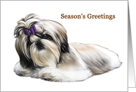 Shih Tzu - Animals - Pets - Dogs - Christmas card