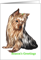 Yorkshire Terrier - Animals - Pets - Dogs - Christmas card