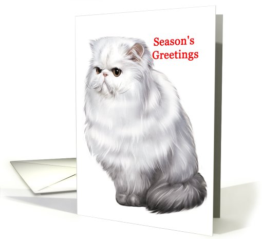 Persian - Animals - Cat - Pets - Christmas card (536130)