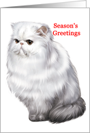 Persian - Animals - Cat - Pets - Christmas card