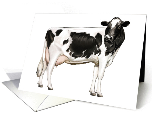 Holstein Diary Cow - Animals - Pets - Farm Animals - Cow card (536217)