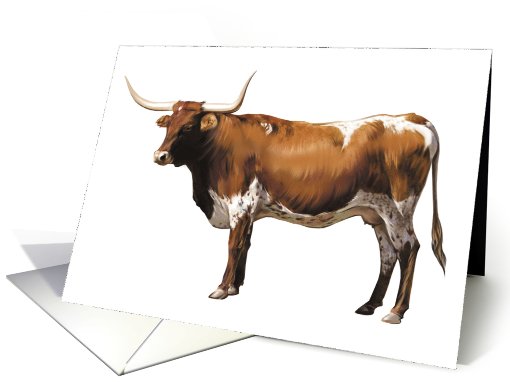Texas Longhorn Cow - Animals - Pets - Farm Animals - Cow card (536219)