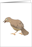Mockingbird - Animals - Pets - Birds card
