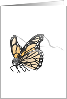 Monarch Butterfly - Animals - Pets - Butterflies card
