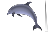 Dolphin - Animals - Pets - Fish - Sea Life card