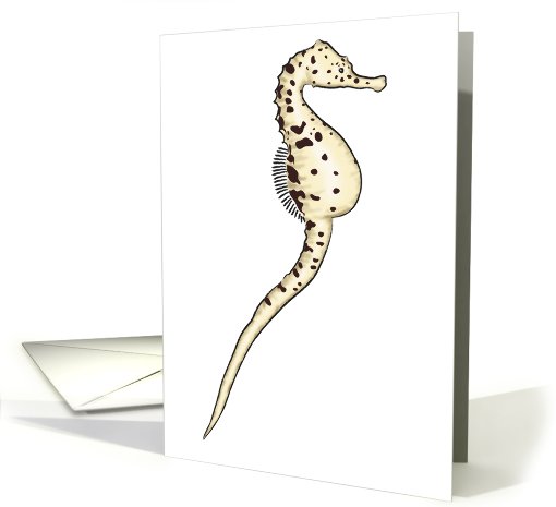 Sea Horse - Sea Life card (536562)
